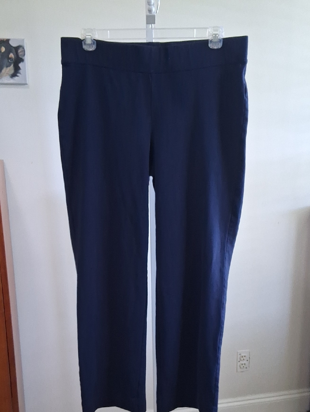 Lands' End Women's Navy Straight-Leg Starfish Pants Size L